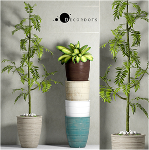 PLANT-41